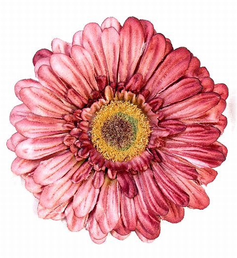 コサージュ 髪飾りの専門店 あーとみゆき コサージュ 髪飾り 両用タイプ ビンテージガーベラ モーヴワイン